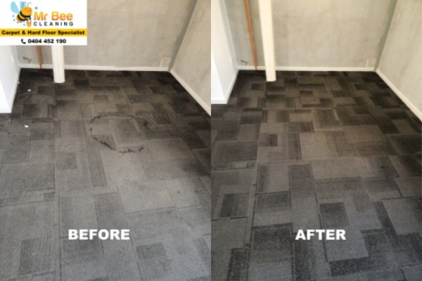 carpet 3.jpg