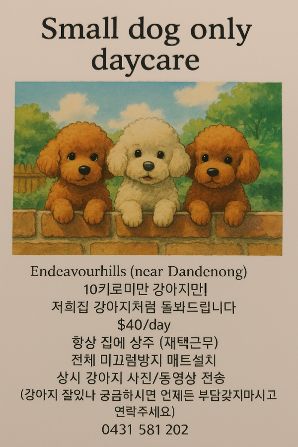 DogDaycare.png