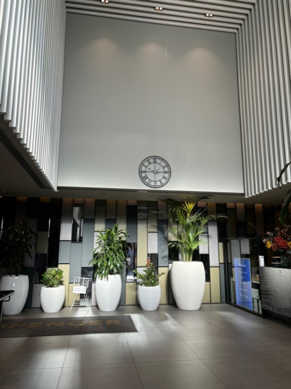 8.jpeg