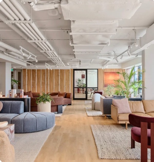 IMG_8521.jpg