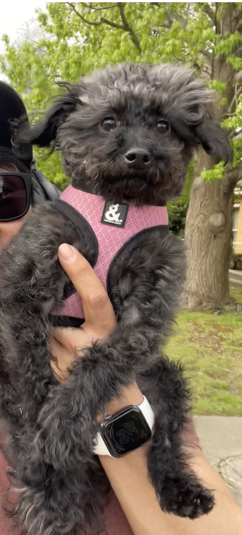 Pepper.jpg